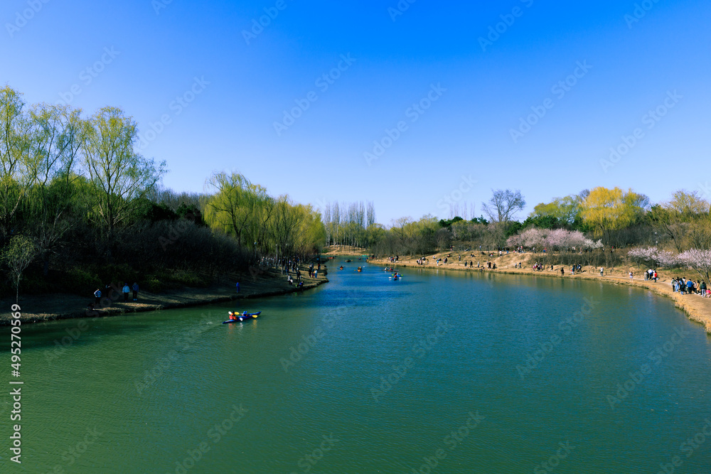 China Beijing Olympic Forest Park Spring View with flowers bloom