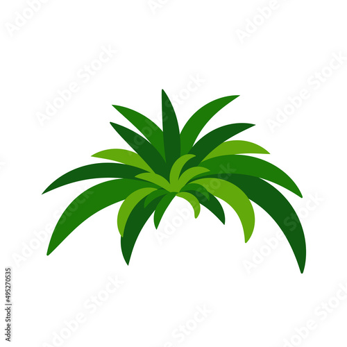 Houseplant chlorophytum for interior decoration. Vector illustration of home flowers. Trendy home decor with plants, urban jungle.