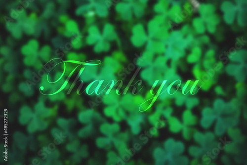 Thank You handwritten inscription. Hand drawn lettering. Thank You calligraphy. Thank you card. Vector illustration. on green shamrock wall