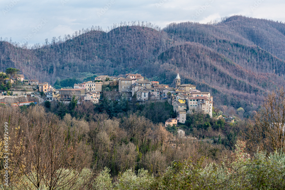 Panoramic view of Gerano, picturesque village in the Province of Rome, Lazio, Italy.