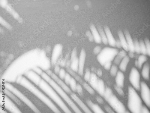 Shdow palm leaf minimalism backdrop background for mock up