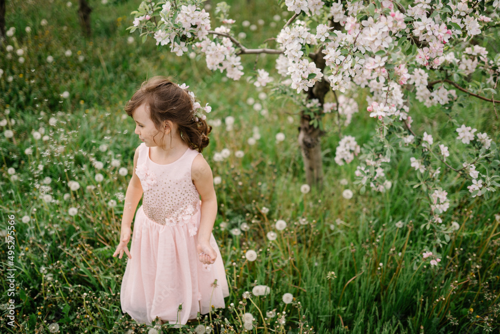 Little girl wearing light pink dress among blooming apple trees, white flowers in hair. Living in harmony with nature concept Little girl wearing light pink dress among blooming apple trees, white flowers in hair. Living in harmony with nature concept