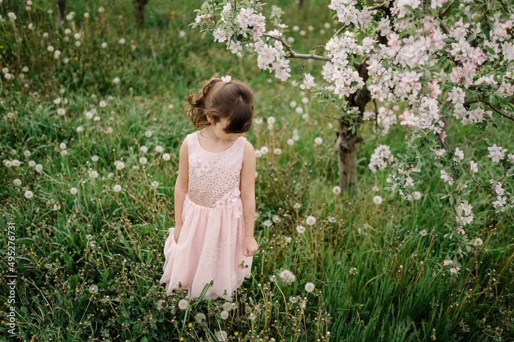 Little girl wearing light pink dress among blooming apple trees, white flowers in hair. Living in harmony with nature concept