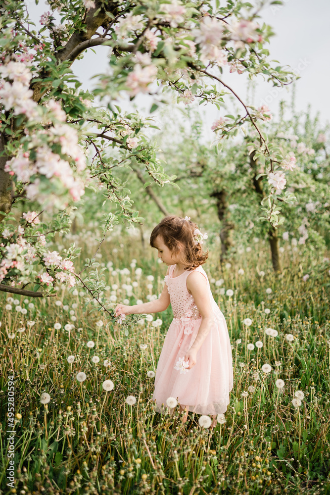 Little girl wearing light pink dress among blooming apple trees, white flowers in hair. Living in harmony with nature concept