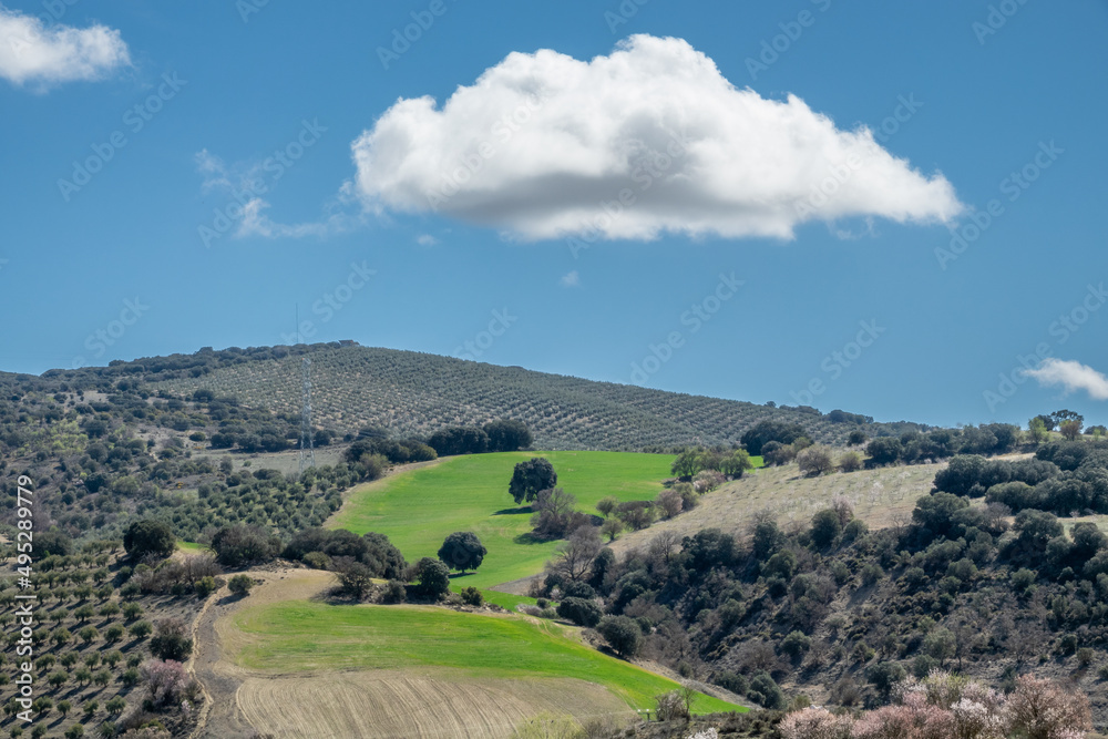 Andalusian rural landscape with hills and different types of crops