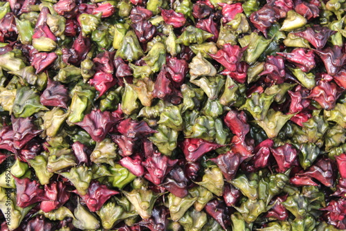 water caltrop background and many colour full water caltrop.. It is also known as water chestnut, buffalo nut, bat nut, devil pod, ling nut, lin kok, ling jow, ling kio nut, mustache nut or singhada. photo
