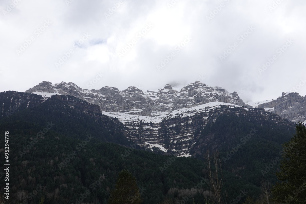 Panoramic of snow-capped mountains with trees