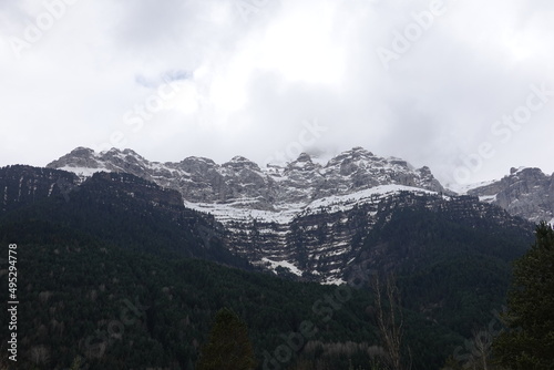 Panoramic of snow-capped mountains with trees
