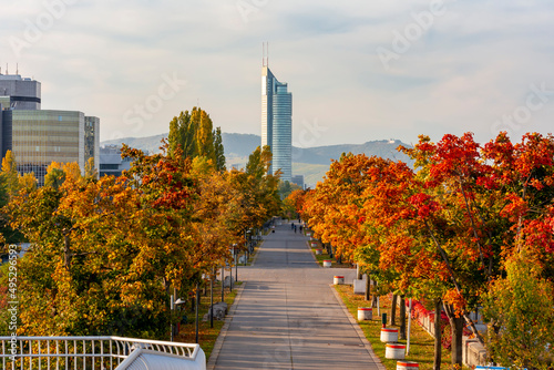 Canvas Print Danube embankment in autumn, Vienna, Austria