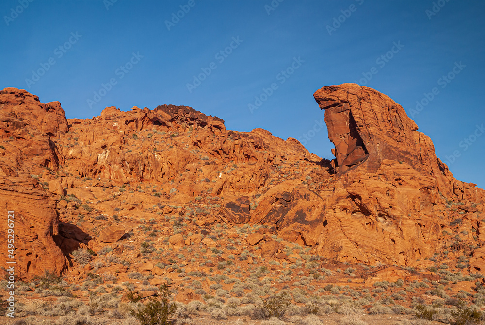 Overton, Nevada, USA - December 11, 2010: Valley of Fire. Landscape featuring Lizard red rock above rocky outcrop under blue sky and dry green short bushes spread around.