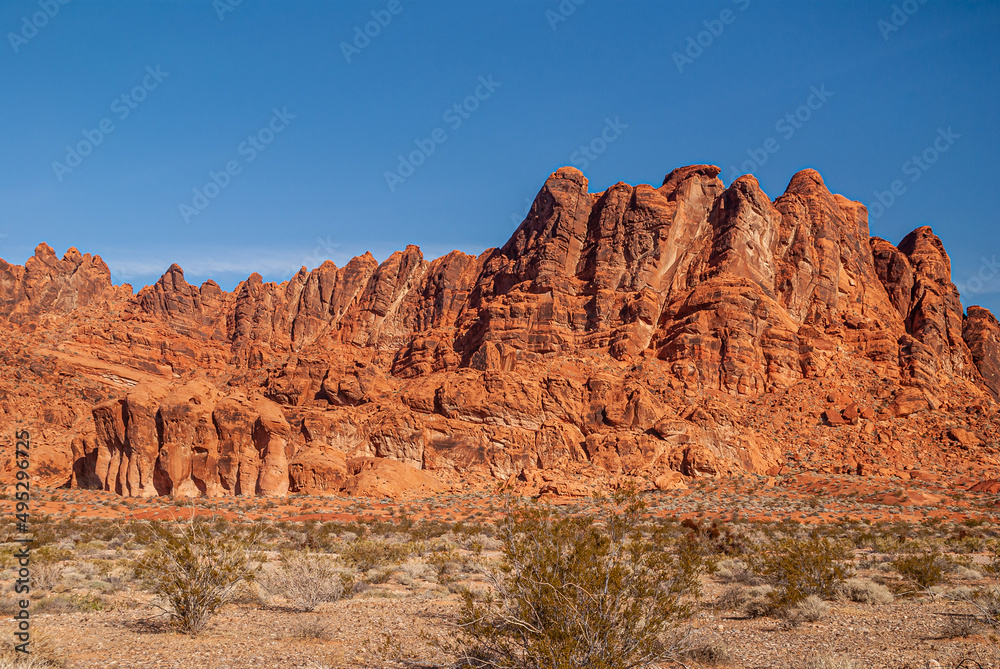 Fototapeta premium Overton, Nevada, USA - December 11, 2010: Valley of Fire. Landscape with giant red rocks set in battle order line under blue sky. Front dry desert floor with greenish bushes.