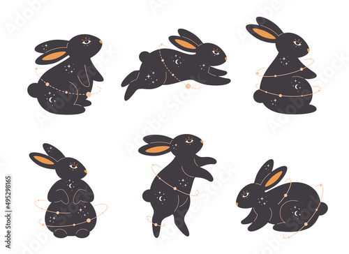 Set of of rabbits with esoteric, mystic, magician elements. Year of the Rabbit. Hand drawn vector illustration