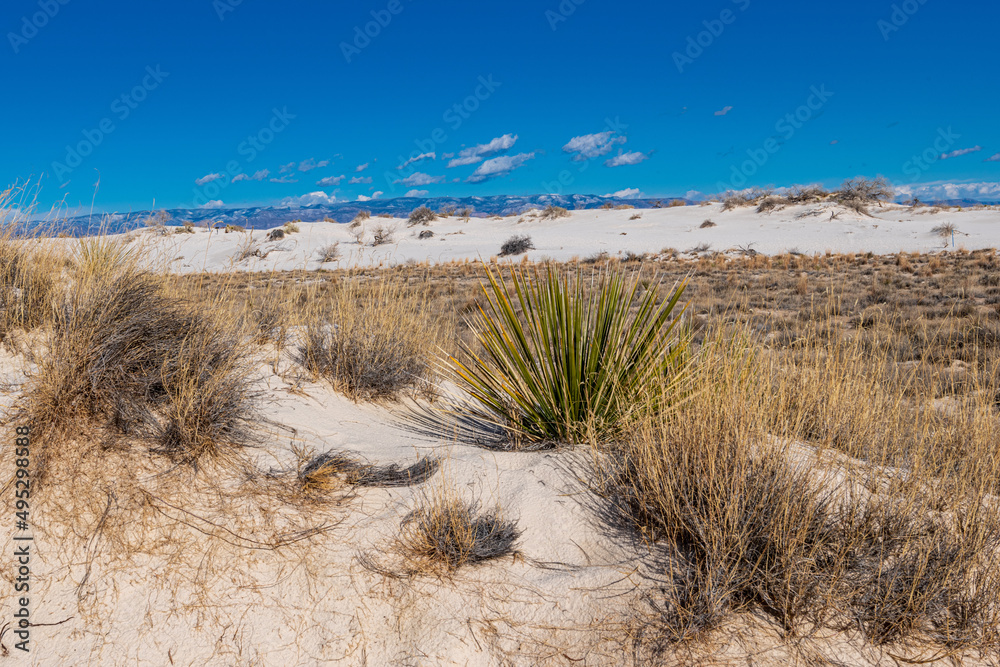 The dunes in White Sands National Park