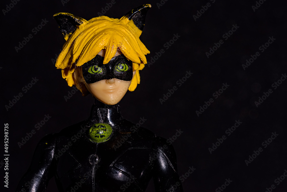  Miraculous ladybug action figure. Fashion Dolls Cat Noir. Stock Photo Bildidee 