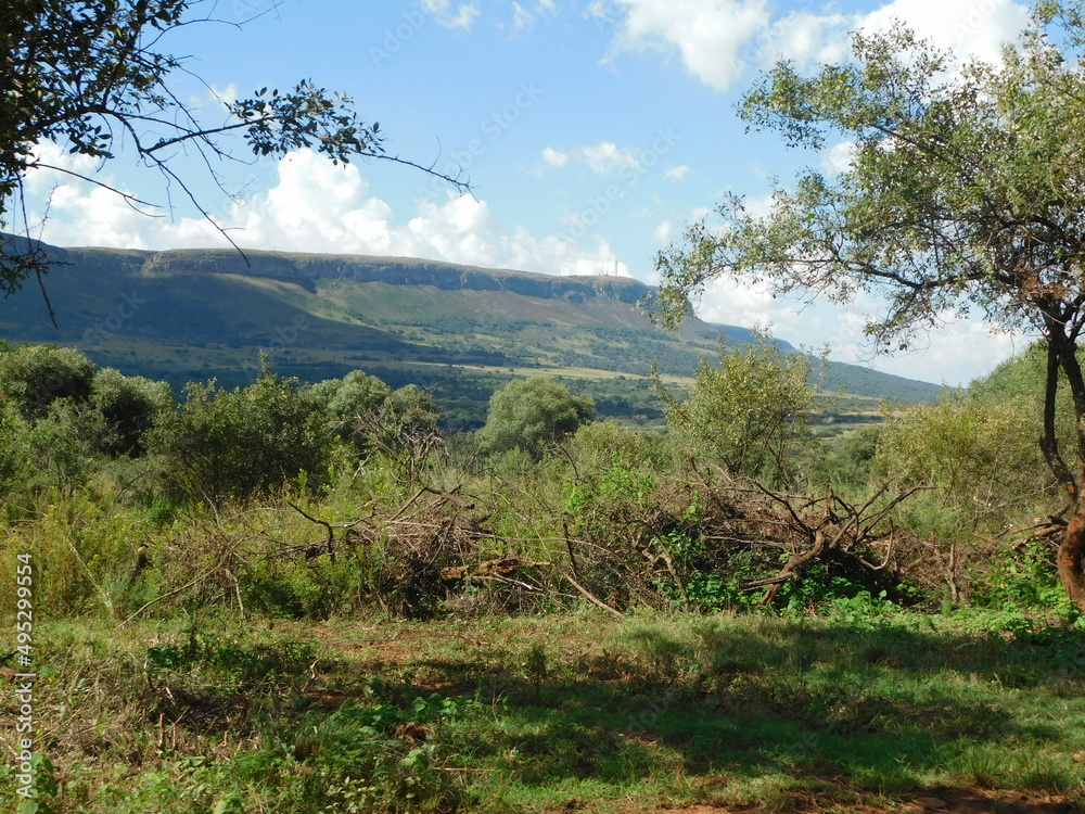 Beautiful scenic landscape with grass fields, bushes, scattered trees, mountains, hilltops, blue sky and white puffy scattered clouds. In South Africa, North West. Beautiful scenic landscape with grass fields, bushes, scattered trees, mountains, hilltops, blue sky and white puffy scattered clouds. In South Africa, North West.