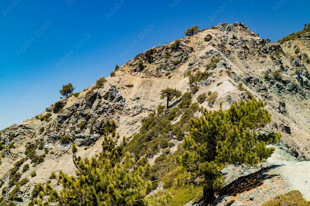 Sunny view of the landscape around Mt. Baldy Trail Sunny view of the landscape around Mt. Baldy Trail