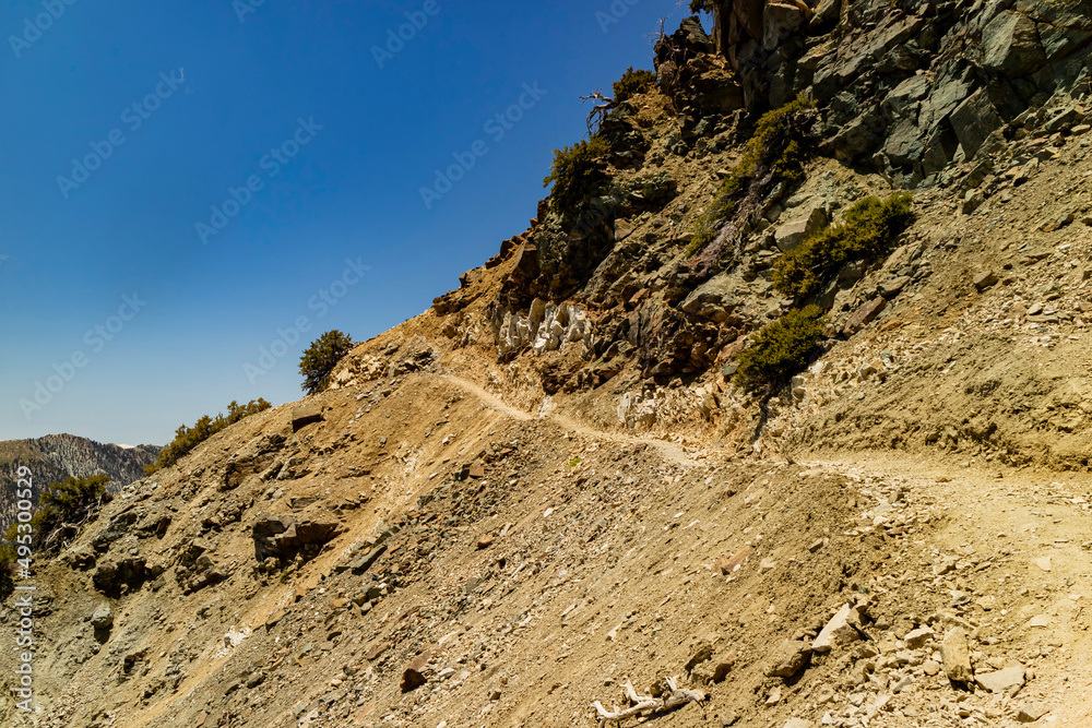 Sunny view of the landscape around Mt. Baldy Trail