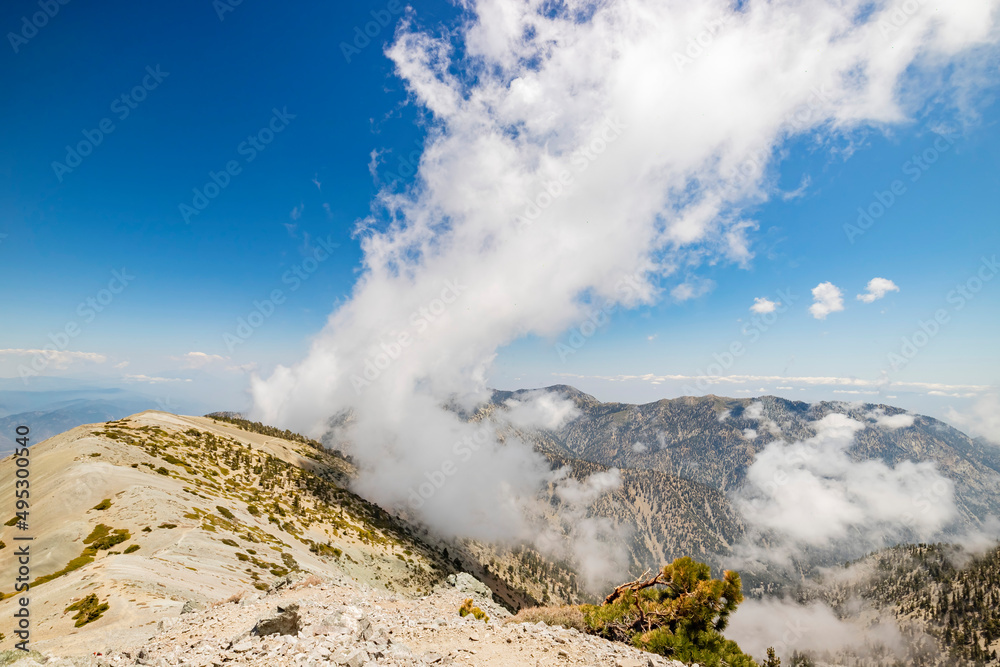 Sunny view of the landscape around Mt. Baldy Trail