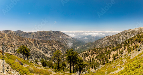 Sunny view of the landscape around Mt. Baldy Trail