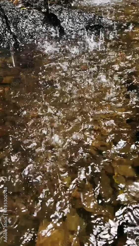 Rain Falling Slow Motion Rain Falling Slow Motion