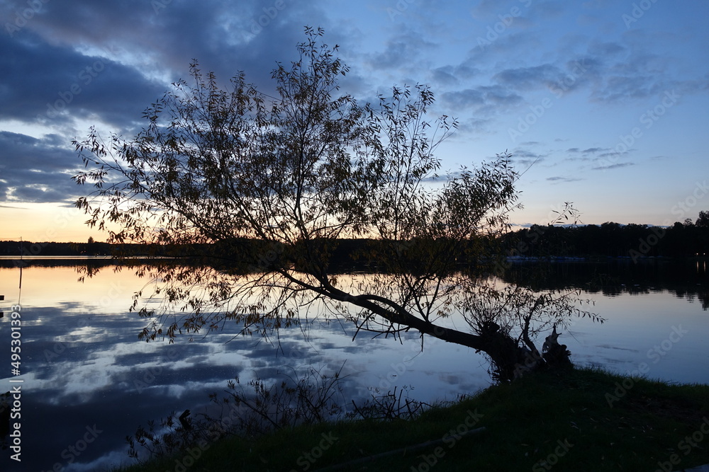 Abend am Schwielochsee