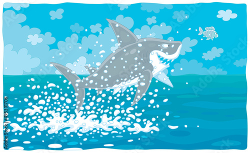 Funny great white shark and a small striped fish in splashes jumping out of water in a tropical sea, vector cartoon illustration