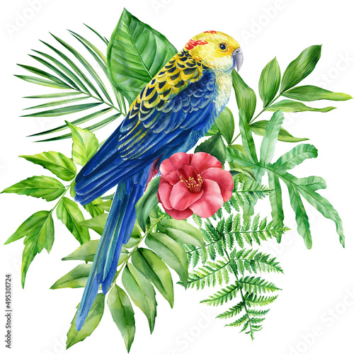 Parrot and palm leaves on isolated white background, watercolor illustration. Jungle clipart © Hanna