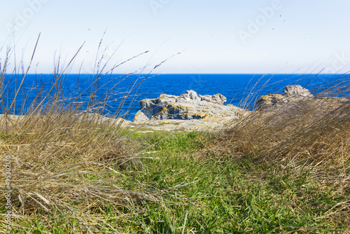 Blick von Wiese aus aufs schwarze Meer photo