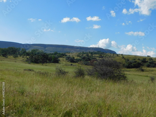 Beautiful scenic landscape with grass fields, bushes, scattered trees, mountains, hilltops, blue sky and white puffy scattered clouds. In South Africa, North West.