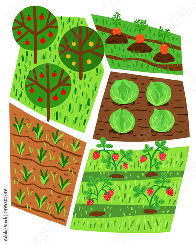 Vector illustration of agriculture, vegetable garden and beds with seedlings and fruits trees