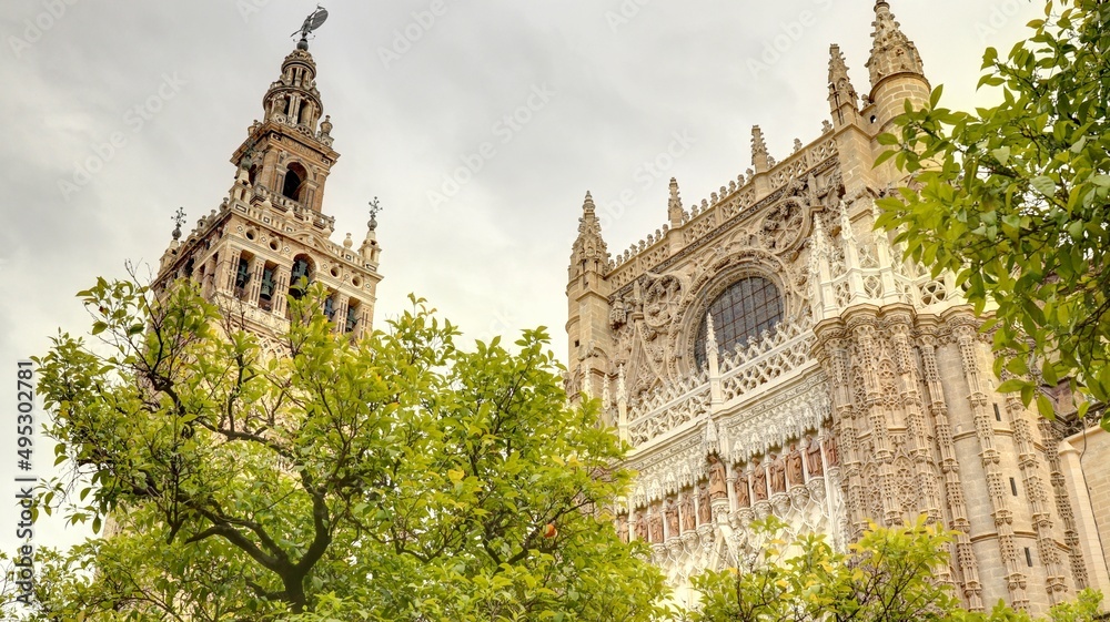 Obraz premium Cathédrale Notre-Dame du Siège de Séville et la giralda en Andalousie