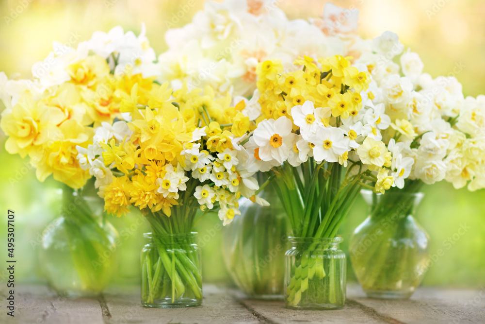 Springtime blooming yellow, white and apricot color daffodils, spring blossoming narcissus (jonquil) flowers bouquet background, selective focus, shallow DOF