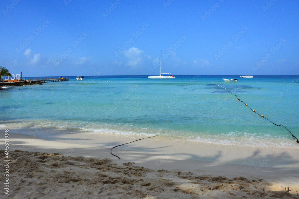 Bayahibe, la Romana, Dominican Republic - Beach on the Caribbean shore and palm trees