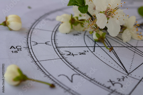 Close up of printed astrology chart with ascendant and Jupiter planet in pisces and small white spring flowers in the background