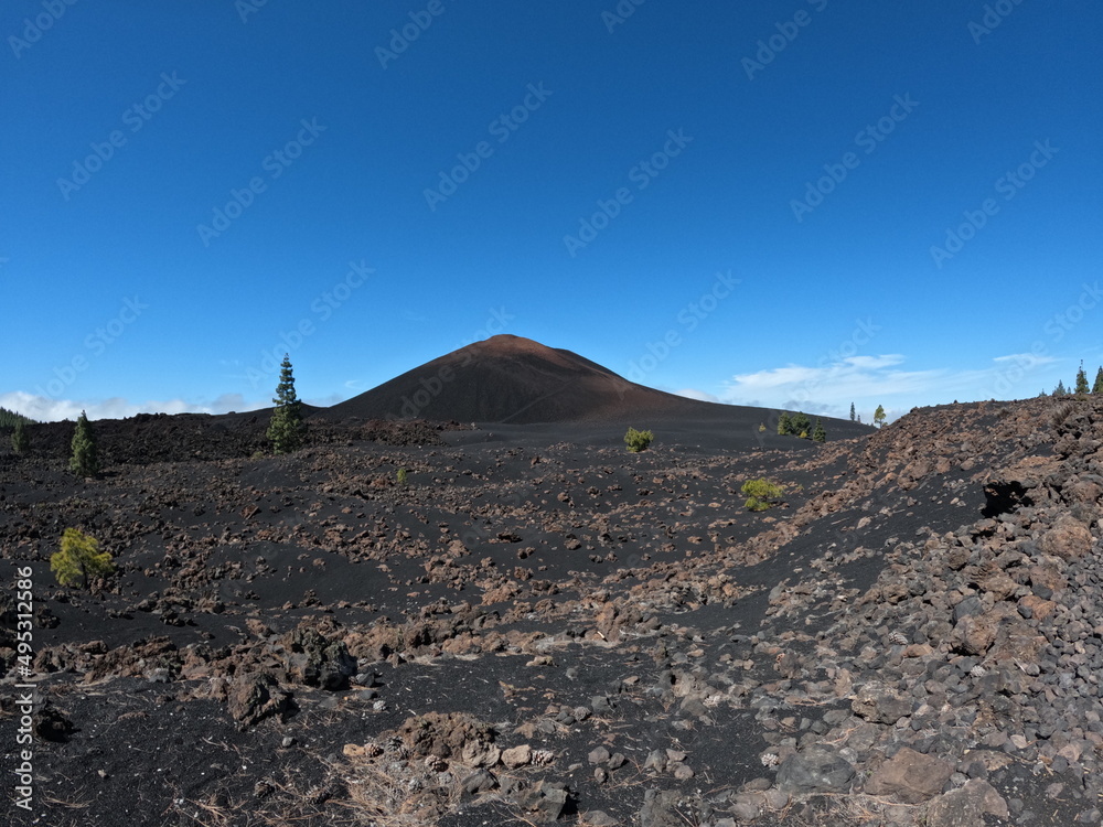 Black lava fields and green pine forest of the Chinyero and Teide volcanoes with bright shining sun and blue sky