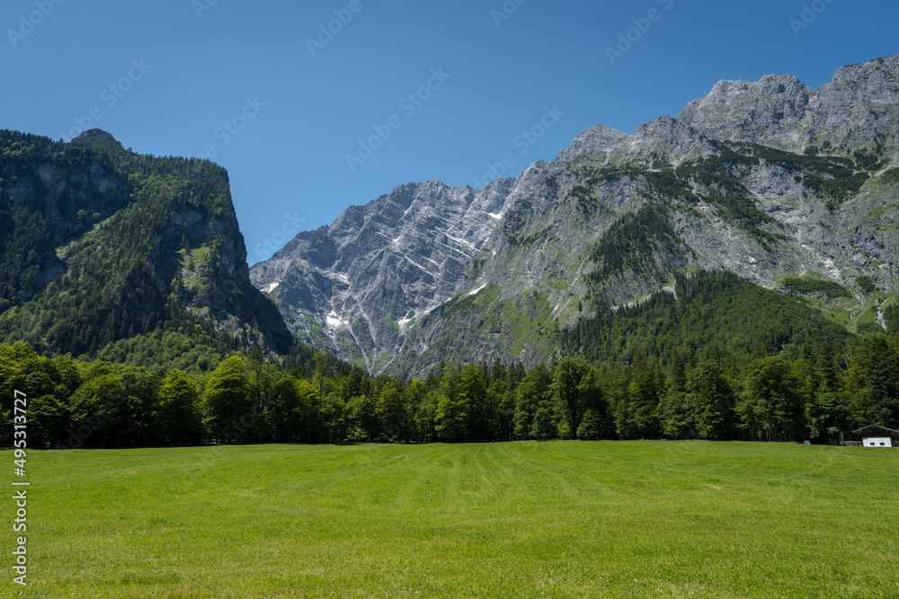 Mountain with grass