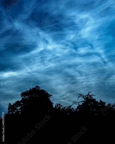 Noctilucent clouds over silhouetted trees