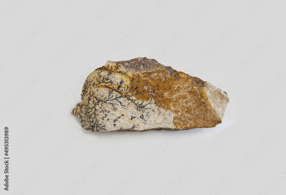 Pyrolusite amber fragment