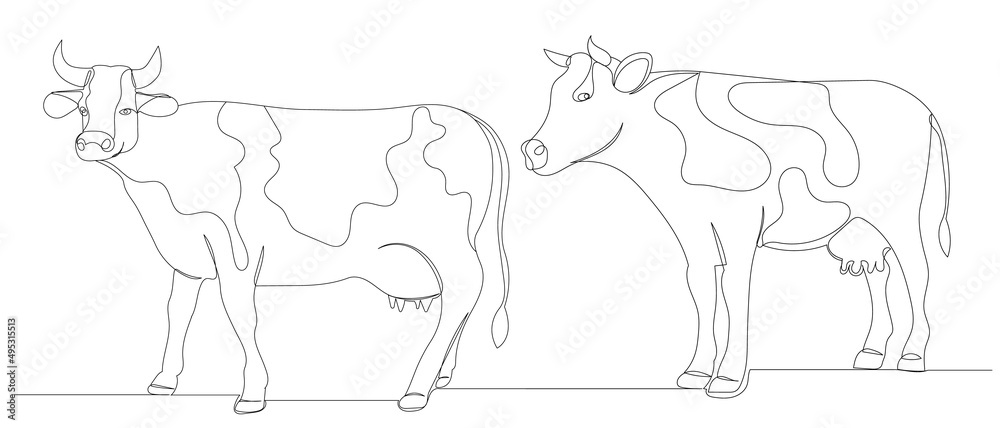 cows drawing by one continuous line, isolated vector