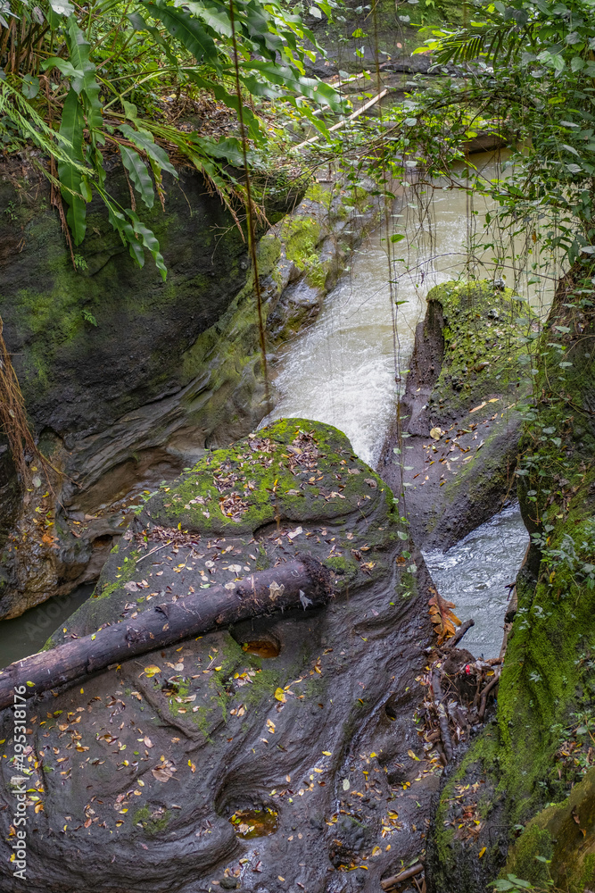 River in Rainforest with Boulders