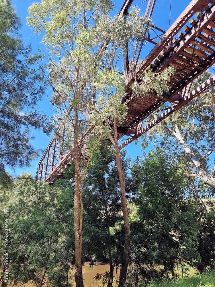 Old abandoned derelict railway bridge over Yass River Australia. Overgrown with trees Old abandoned derelict railway bridge over Yass River Australia. Overgrown with trees