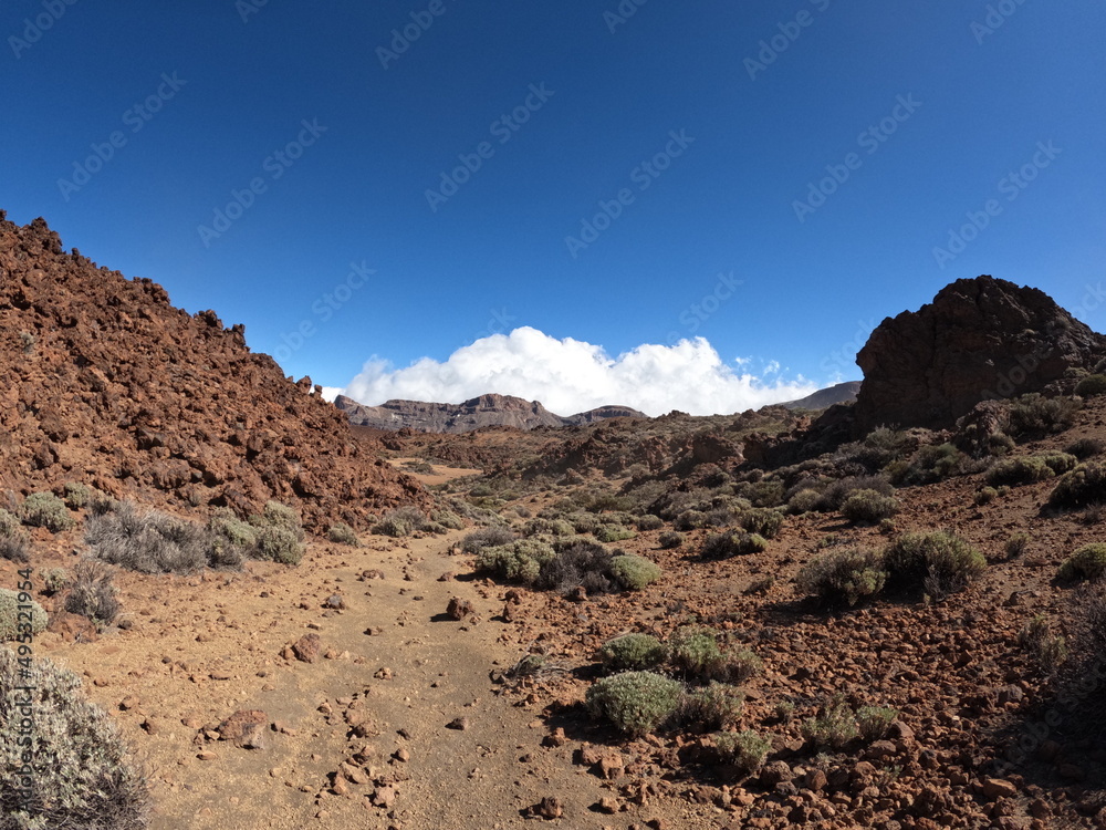 Deserted volcanic landscape with lava fields of the Teide National Park in Tenerife, Canary Islands, Spain