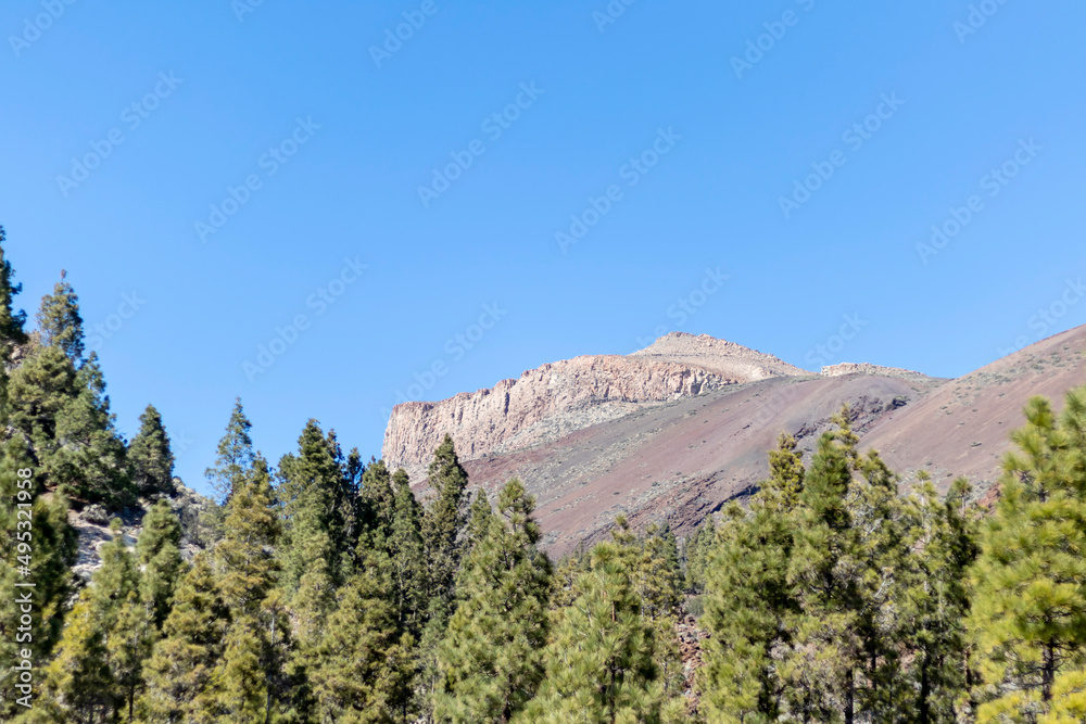 Volcanic landscape in Tenerife with green pine tree forest and lava fields under the blue sky, Canary islands, Spain