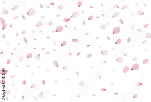 Sakura petals background. Cherry petals