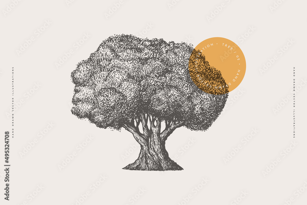 Old tree in engraving style. Hand-drawn long standing tree. Template for design postcard, logo, label. Vintage illustration on a light isolated background.