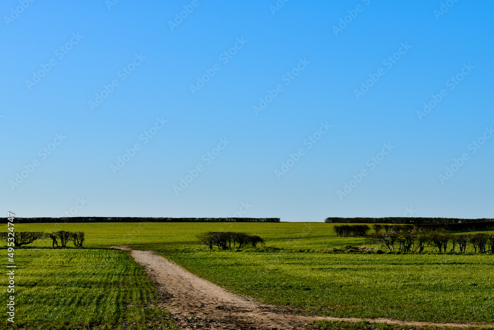 Landscape with sky and a footpath in the field, Coombe Abbey, England, UK