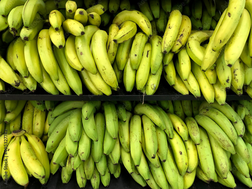 Green Bananas on the supermarket shelf.
