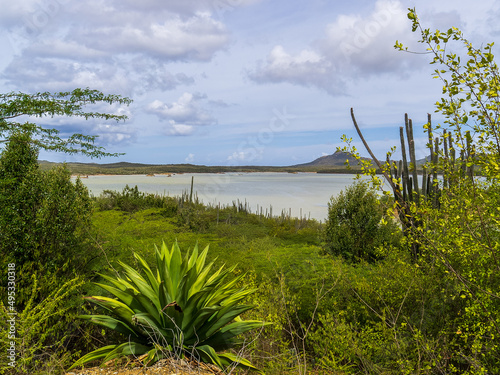 Goto Salt and Flamingo Lake on the island of Bonaire