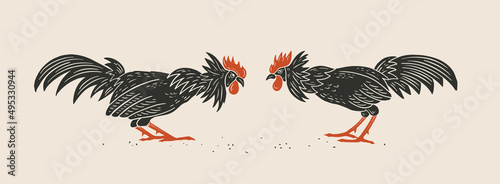 Photo Two fighting black roosters look at each other