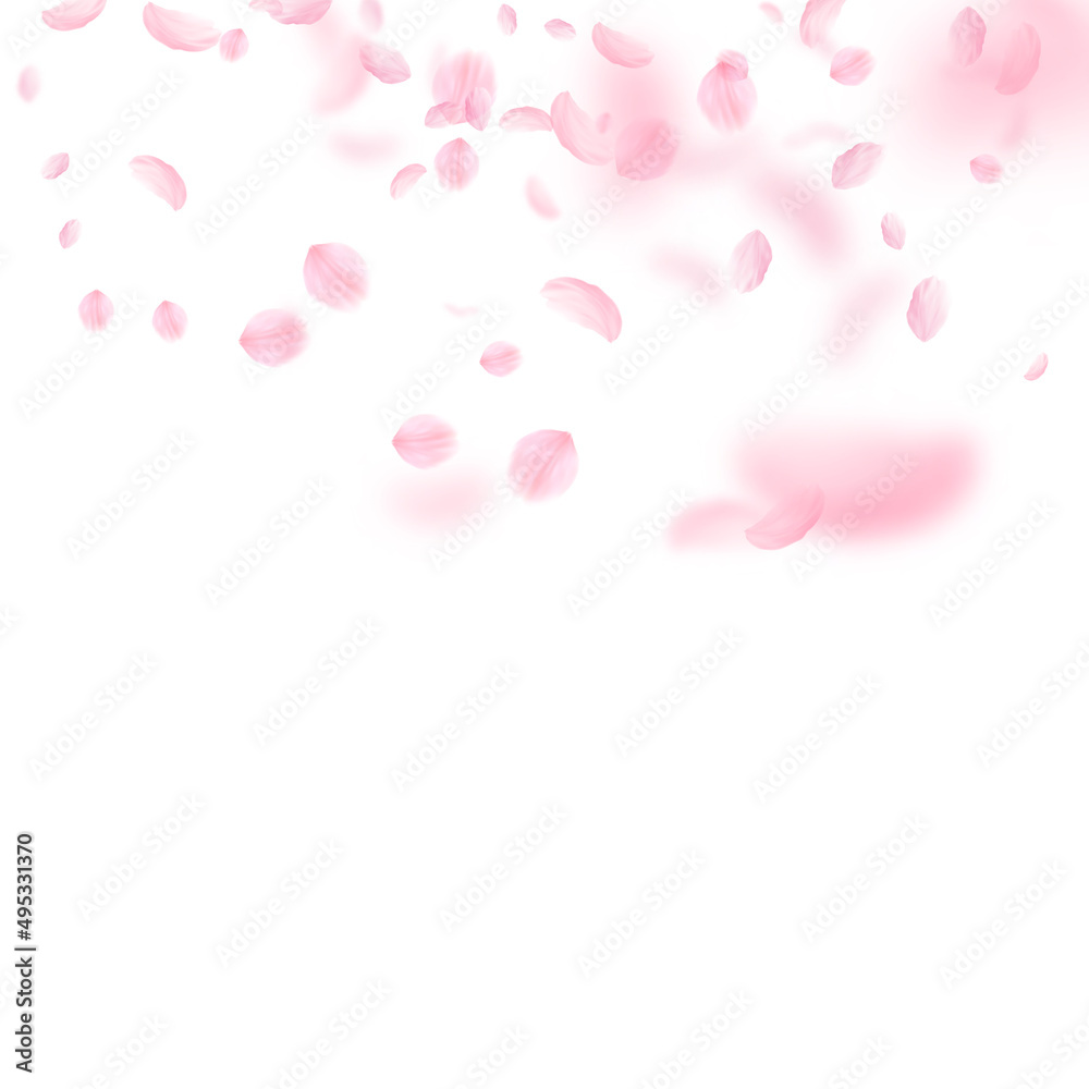 Sakura petals falling down. Romantic pink flowers gradient. Flying petals on white square background. Love, romance concept. Delightful wedding invitation. Sakura petals falling down. Romantic pink flowers gradient. Flying petals on white square background. Love, romance concept. Delightful wedding invitation.